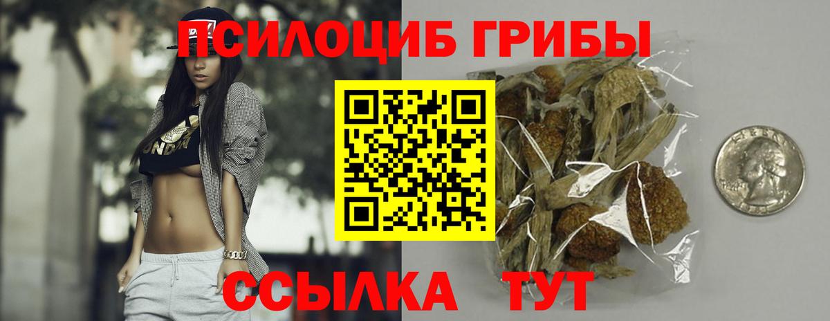 что такое   Галлюциногенные грибы Psilocybine cubensis  Вход с VPN  Узловая 
