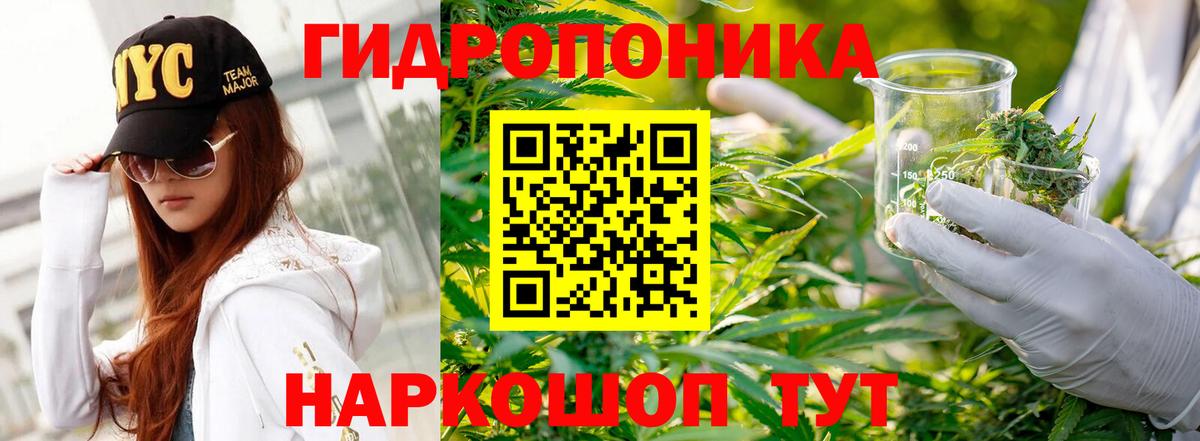 Узловая  МАРИХУАНА марихуана  Вход с VPN  МАРИХУАНА сатива  Конопля гибрид 