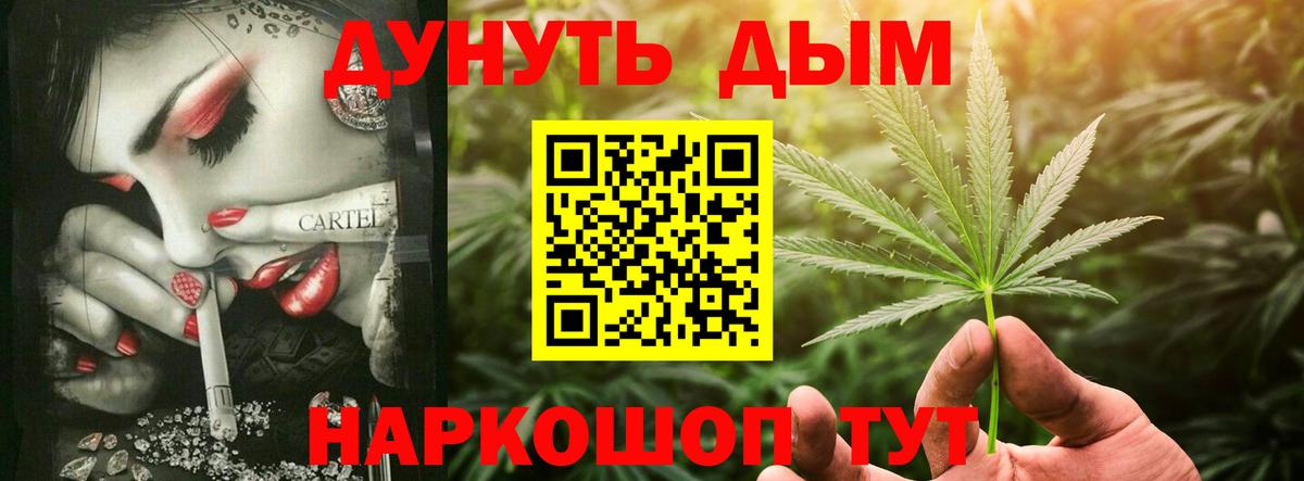 Конопля MAZAR Узловая